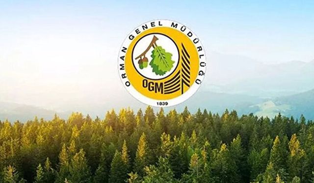 OGM 3.477 personel alımı sonuçları ne zaman açıklanacak? Başvuru sonuç ekranı ve sorgulama detayları