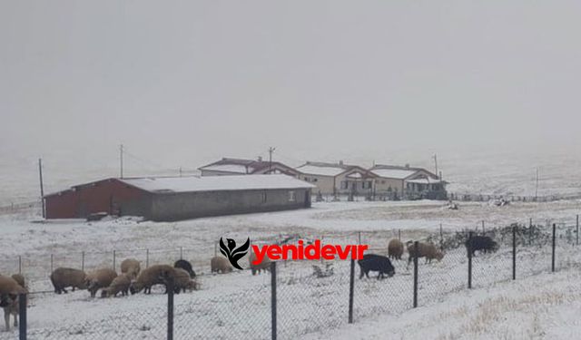 Doğu Karadeniz’de eylülde kar sürprizi! Yaylalar beyaza büründü