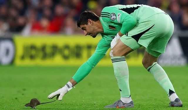 Courtois, sahadaki fareyle gündem oldu!