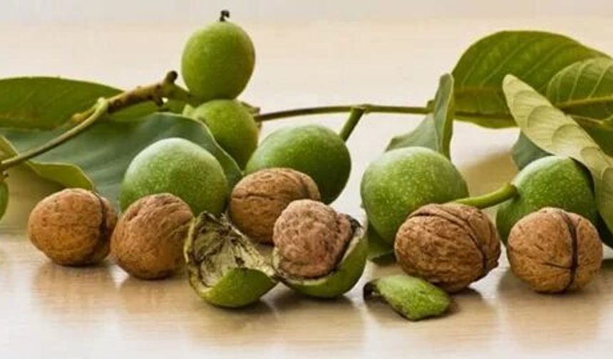 Ceviz kabuğu saça nasıl uygulanır? Faydaları, tarifleri ve püf noktaları