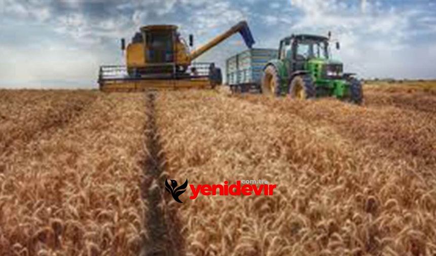 Buğday, arpa ve mısır fiyatları şaşırttı! TMO’nun indirimi işe yaramadı