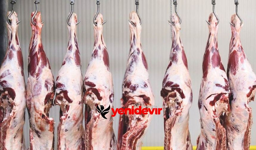 Ette sessiz kriz: Hayvancılık bitme noktasında