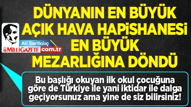 Mg Sertkilic
